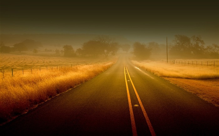 misty road-wonderful natural scenery desktop picture Views:9918 Date:2011/12/25 15:23:15