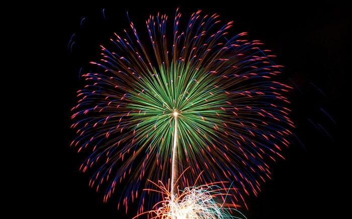 Ano novo fogos de artifício - Feliz ano novo 2012 Papéis de parede Visualizações:14755