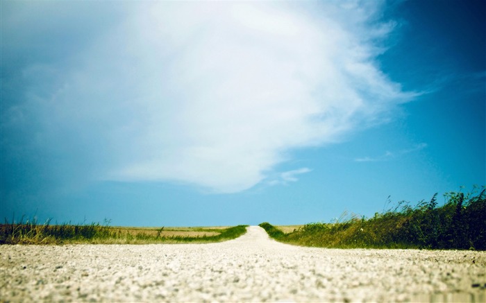 chemin de terre anciennes-Nature Paysage Fond d'écran Vues:12279