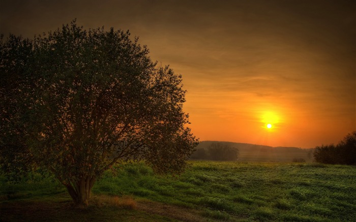 d'orange coucher de soleil-Nature Paysage Fond d'écran Vues:12533