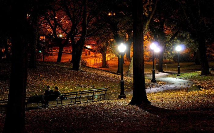 park at night-the city landscape photography wallpaper Views:24178 Date:2011/12/18 14:34:53