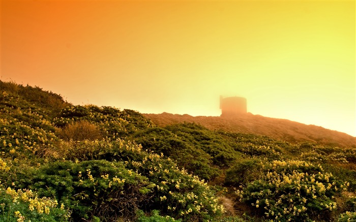 punto reyes en la niebla-Hermoso fondo de escritorio de paisajes naturales Vistas:8920