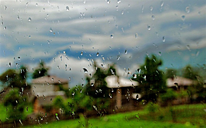 jour de pluie-Nature Paysage Fond d'écran Vues:23621