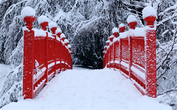 Fondo de pantalla de escritorio de tema de invierno-invierno puente japonés rojo Vistas:18323