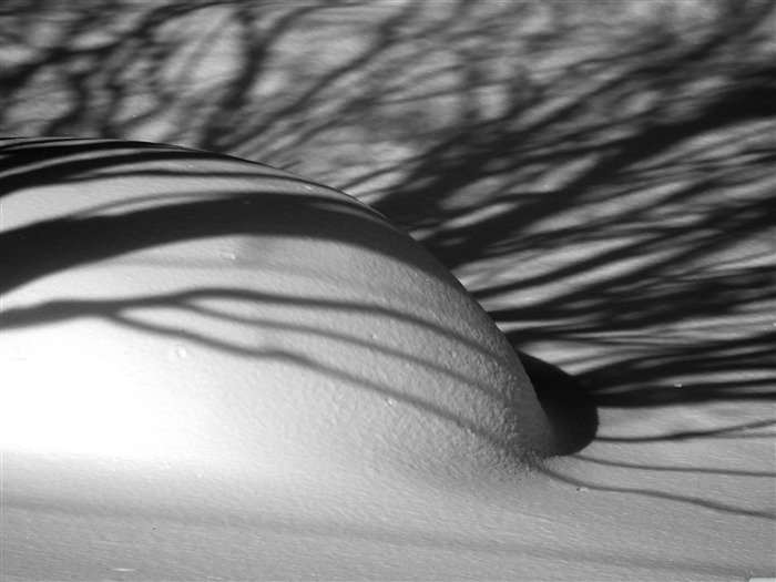 ombres de la neige-l'hiver le thème papier peint de bureau Vues:9716