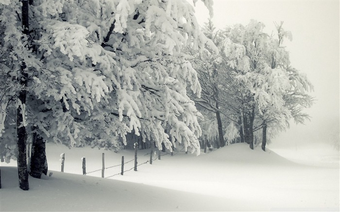 下雪-寒冷的冬季风景桌面 浏览:29609