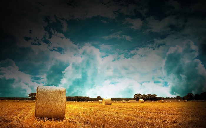 straw bales on farmland-wonderful natural scenery desktop picture Views:9867 Date:2011/12/25 15:31:05