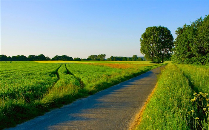 d'été-Nature Paysage Fond d'écran Vues:23343