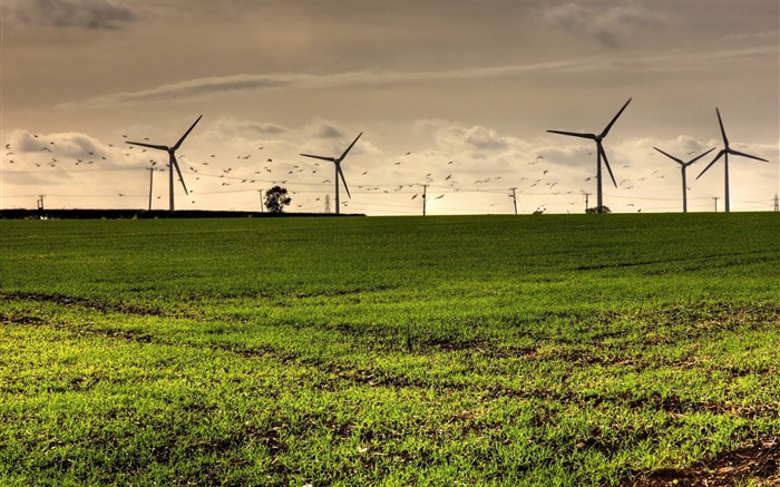 parque de escritorio de la turbina de viento-Hermoso paisaje natural Vistas:11099