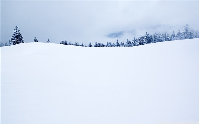 saison d'hiver-le paysage d'hiver Desktop Vues:10309