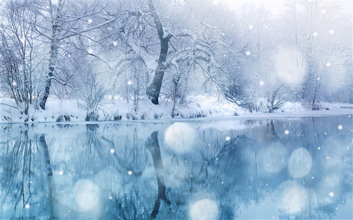 Comme la neige romantique-le paysage d'hiver Desktop Vues:60543