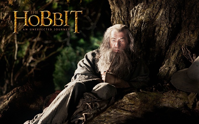 Le Hobbit Un voyage inattendu Wallpaper Film Vues:10818