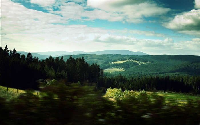 motion blur-forest landscape desktop wallpaper Views:14874 Date:2012/1/23 20:47:40