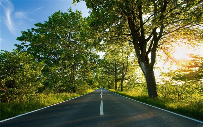 一个路径-夏季风景桌面壁纸 浏览:14809