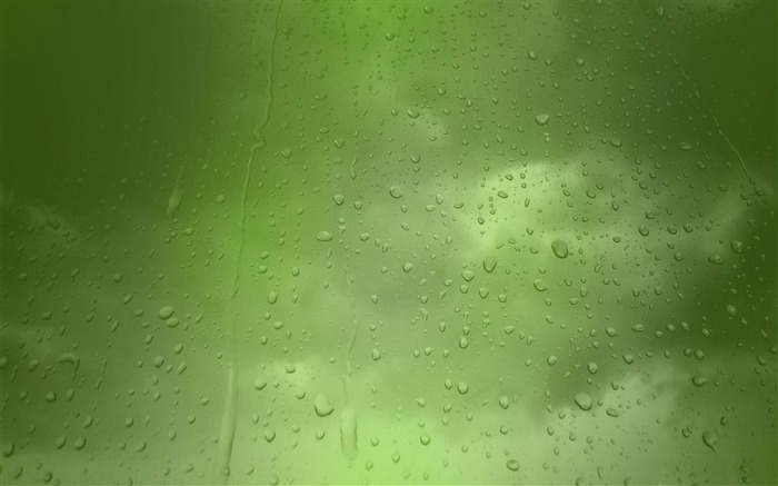 gotas de lluvia en el fondo de pantalla del tema ventana agua Vistas:12112