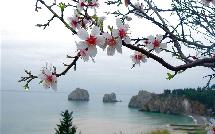 spring season-spring landscape desktop wallpaper Views:42918 Date:2012/1/22 15:04:06