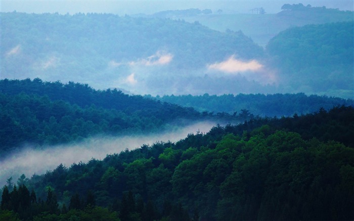 tohoku japan-forest landscape desktop wallpaper Views:12102 Date:2012/1/23 21:56:48