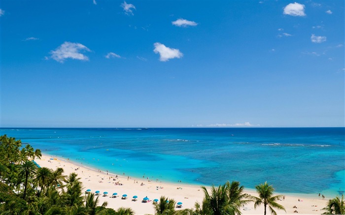 waikiki beach and pacific ocean-Island fotografía de paisajes de viaje Fondos de Escritorio Vistas:18837