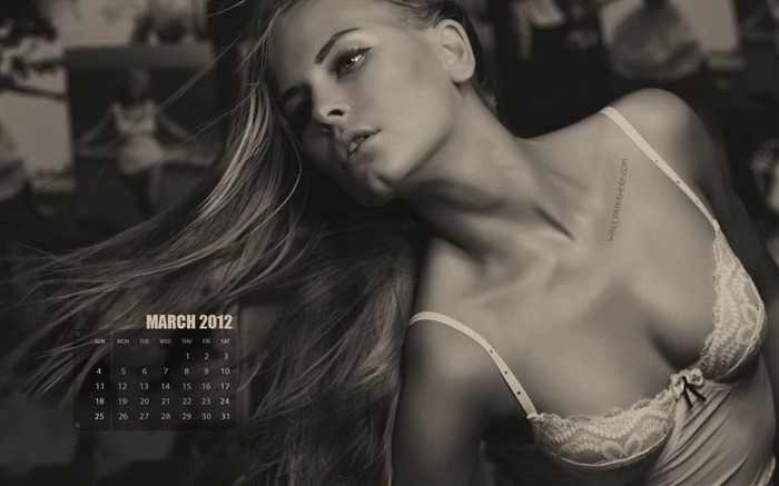 Beauty-March 2012 calendar desktop themes wallpaper Views:10291 Date:2012/2/28 22:28:22