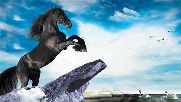 Black Stallion and Swans-Amazing Horse theme wallpaper Views:20103 Date:2012/2/8 1:07:01