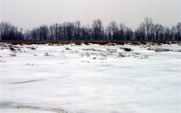 Hiver froid-papier peint paysage naturel Vues:8735