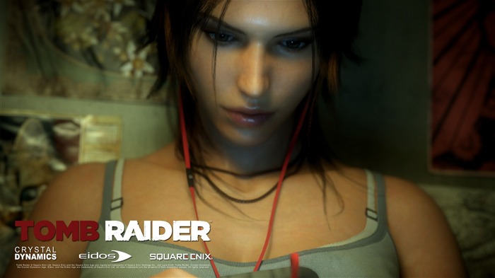 Tomb Raider 9 Game HD fondo de pantalla 05 Vistas:9917