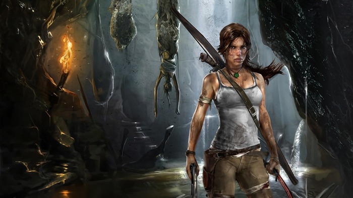 Tomb Raider 9 Game HD fondo de pantalla 09 Vistas:10609