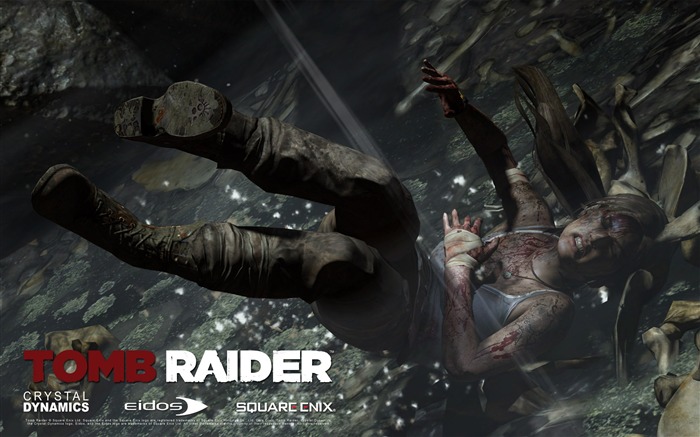 Tomb Raider 9 Game HD fondo de pantalla 10 Vistas:9611