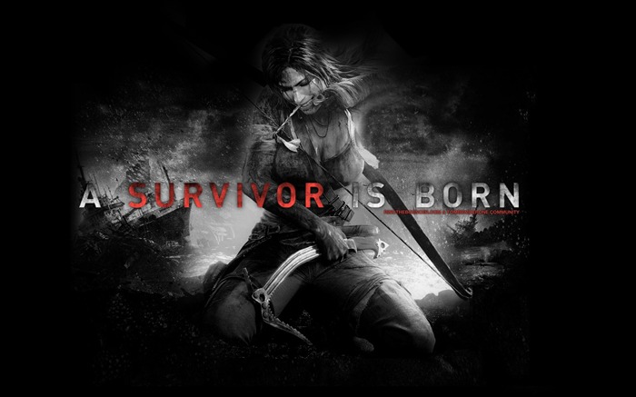 Tomb Raider 9 Game HD fondo de pantalla 14 Vistas:9980