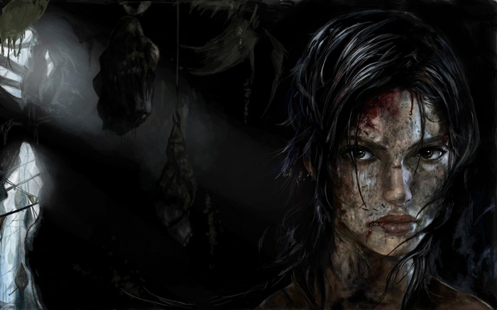 Fondo de pantalla de Tomb Raider 9 Game HD 18 Vistas:9915