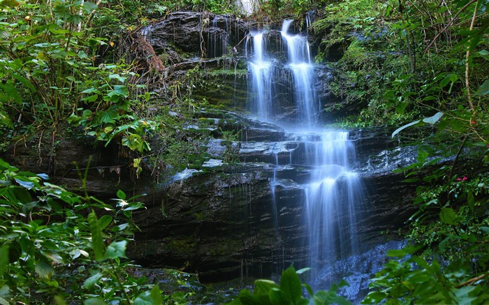 cachoeira-The worlds most beautiful waterfall landscape picture Views:31064 Date:2012/2/13 1:20:45