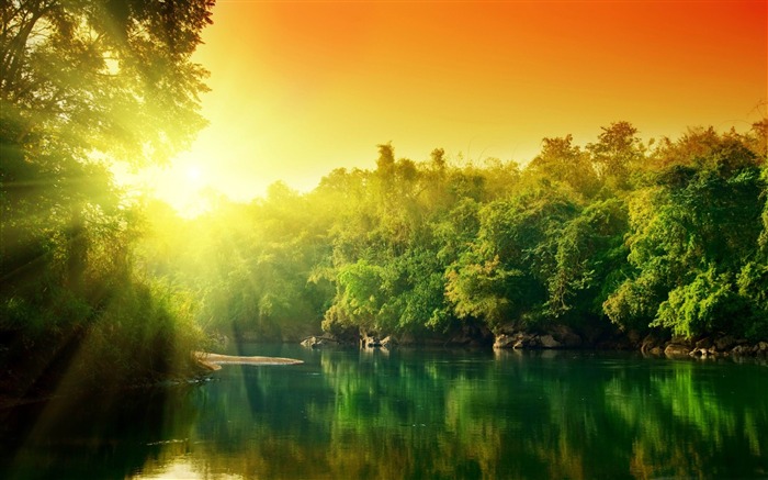 lush green forest river at sunrise-Beautiful river landscape photography Views:41536 Date:2012/2/14 23:41:06