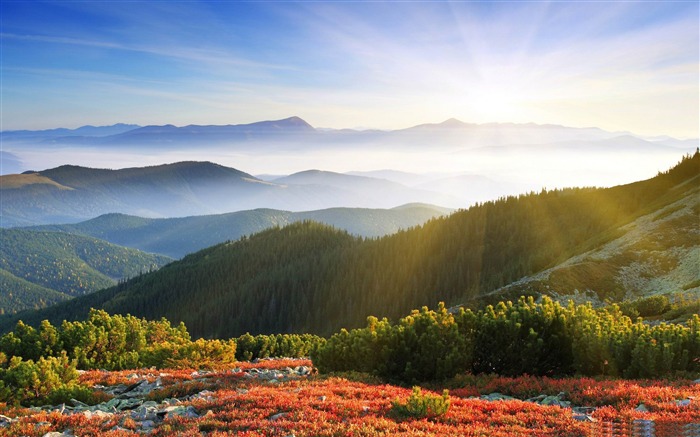 soleil du matin avec le brouillard-Belle image paysage de montagne Vues:126802