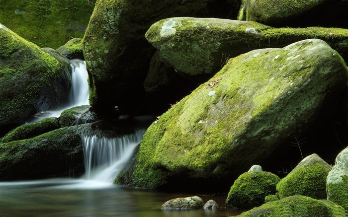 苔の岩-世界で最も美しい滝の風景写真 ブラウズ:26816