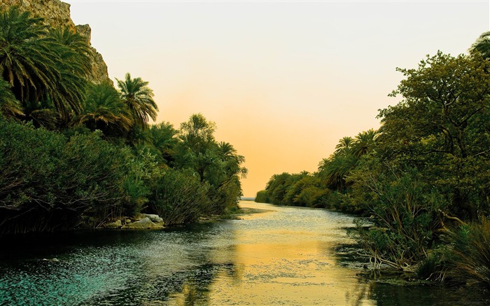 river and palm trees-Beautiful river landscape photography Views:10483 Date:2012/2/14 23:46:01