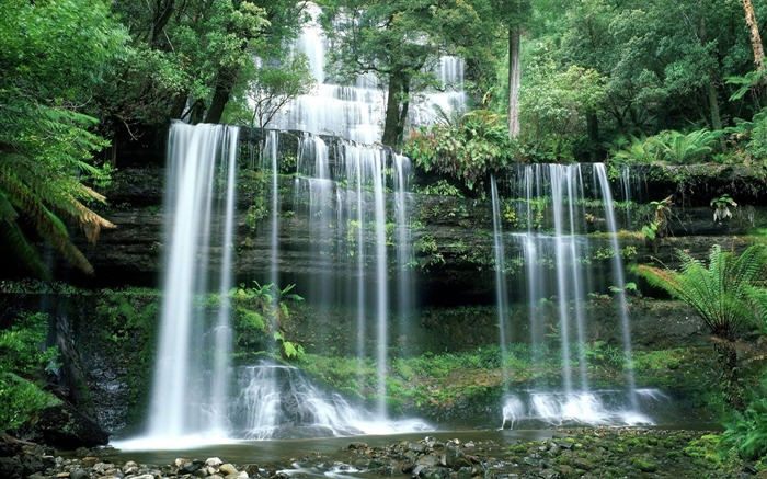 russell falls-The worlds most beautiful waterfall landscape picture Views:36555 Date:2012/2/13 1:27:55