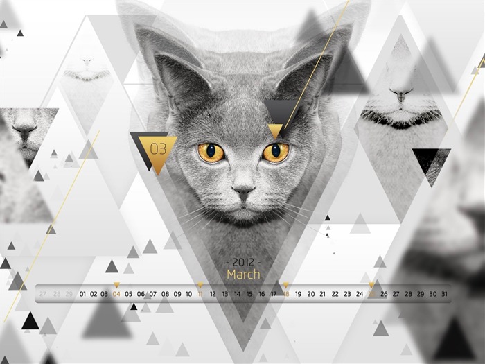 the golden eyed cat-March 2012 calendar desktop themes wallpaper Views:8607 Date:2012/2/29 22:56:13