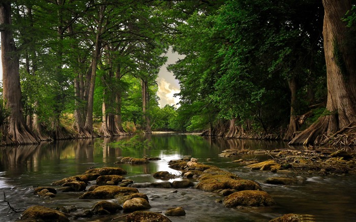 trees roots near river-Beautiful river landscape photography Views:34066 Date:2012/2/14 23:49:57