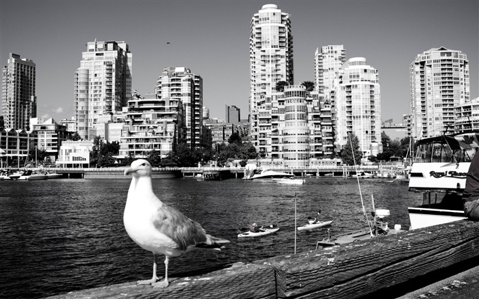 vancouver-Canada travel landscape photography wallpaper Views:11438 Date:2012/2/19 13:16:26