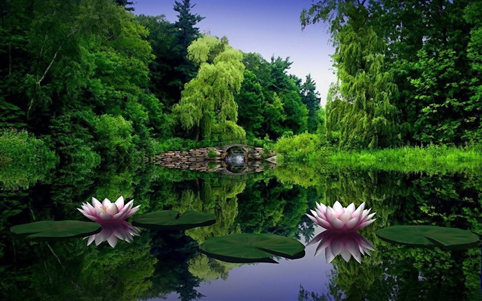 water lilies-PS creative theme design pictures Views:9355 Date:2012/2/6 0:13:48