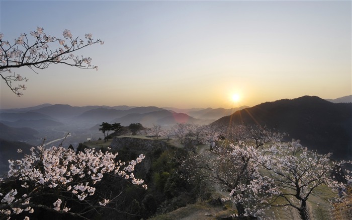 美しい日本の桜の季節壁紙 ブラウズ:12945