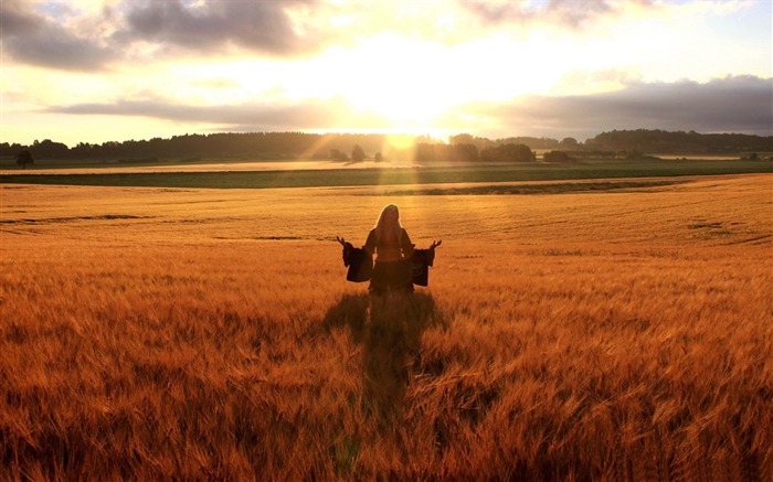 femme heureuse dans le champ de blé doré-Belle wallpaper paysage estival Vues:14522