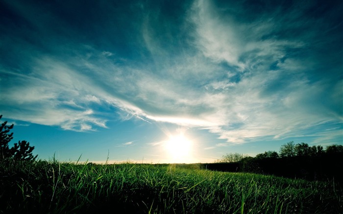 journée ensoleillée d'été-Belle wallpaper paysage estival Vues:14319