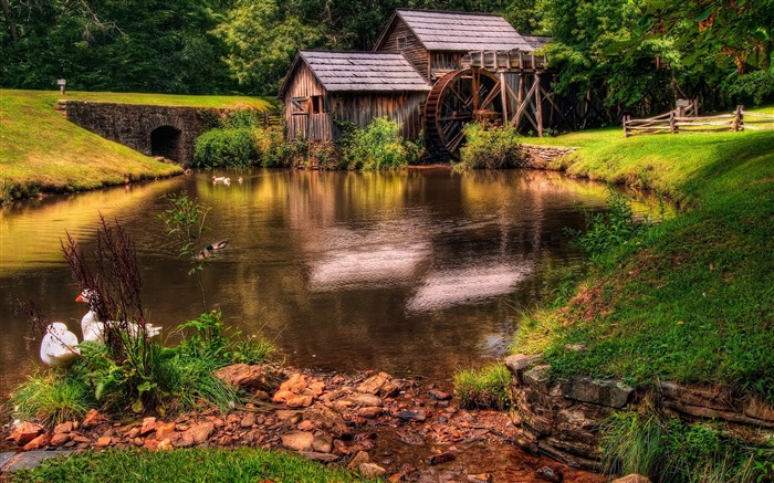 watermill-Hermoso paisaje natural fondo de pantalla Vistas:26452