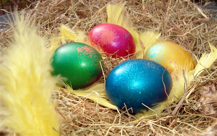 Beautiful Easter Eggs wallpaper 17 Views:8042 Date:2012/4/15 21:36:35