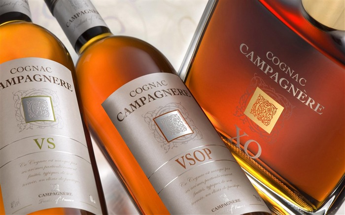 Cognac-Global brand advertising wallpaper Views:11098 Date:2012/4/23 22:22:32