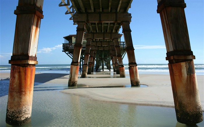 DAYTONA-American beach scenery fondo de pantalla Vistas:9892