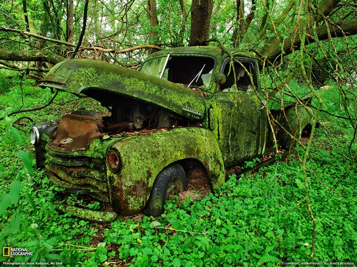 Moss Covered Truck Michigan-National Geographic 2011 Mejores fondos de pantalla Vistas:20820