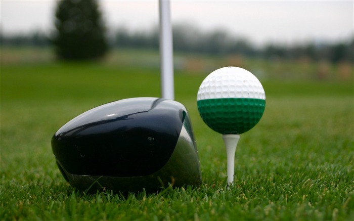 golf putters Golf ball-Sports wallpaper Views:14806 Date:2012/4/27 9:13:54