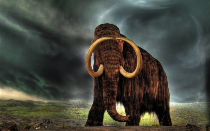 mammoth-Wild Animal HD Wallpapers Views:44162 Date:2012/4/21 10:31:59